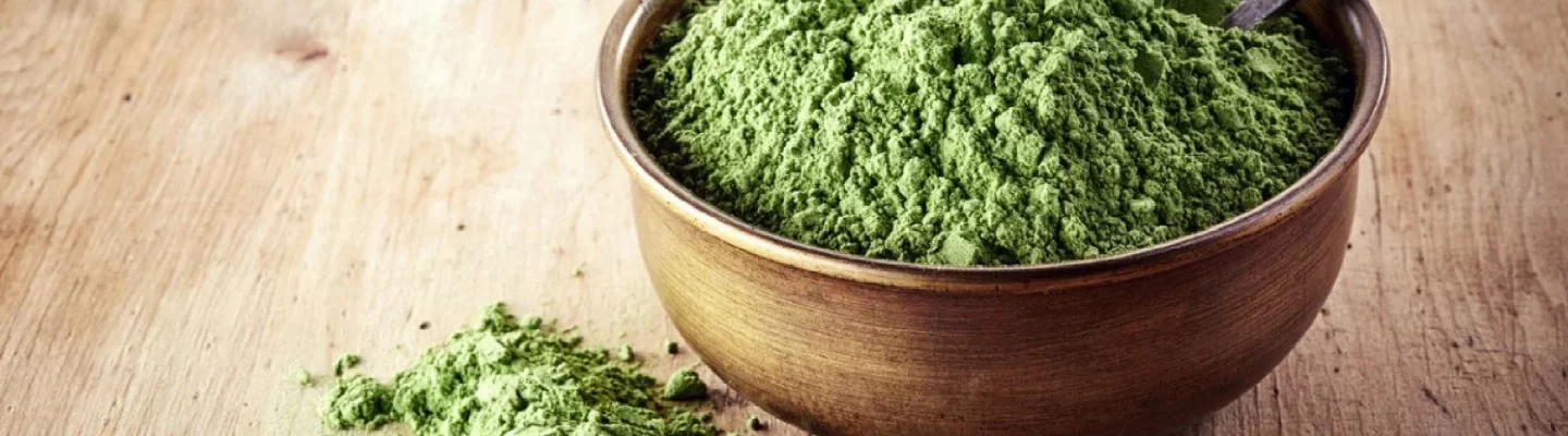 Klorella alga - Az egészség titka a természetből
